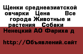 Щенки среднеазиатской овчарки › Цена ­ 1 - Все города Животные и растения » Собаки   . Ненецкий АО,Фариха д.